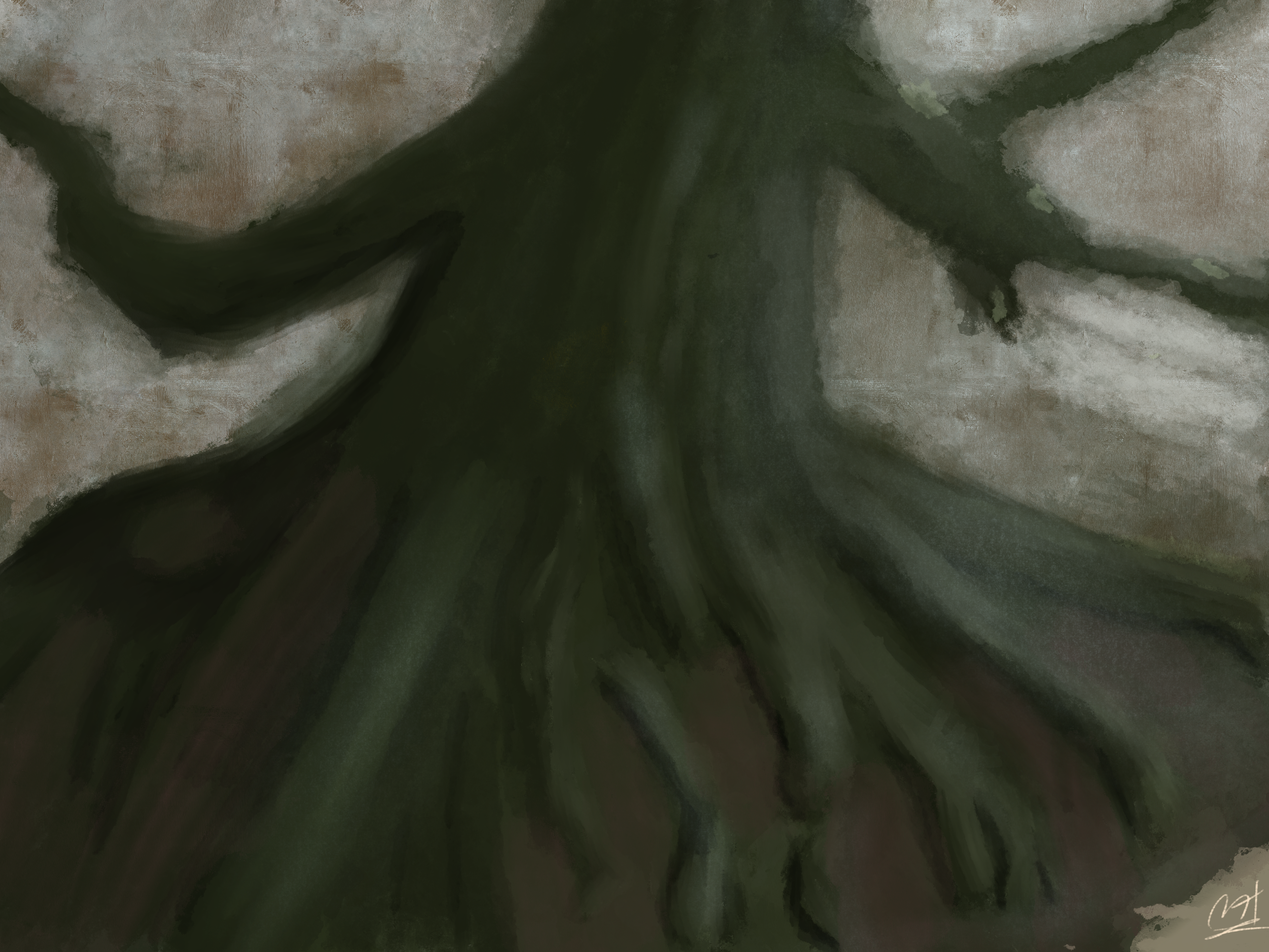a swampy tree